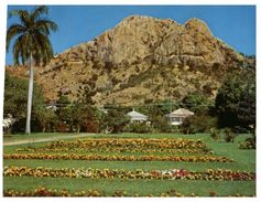 (777) Australia - QLD - Towsnville Castle Hill And Garden - Townsville