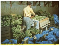 (777) Australia - NSW - Coffs Harbour Banan Industrie - Coffs Harbour