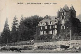 CPA Vic Sur Cère Cantal Auvergne Non Circulé - Altri & Non Classificati