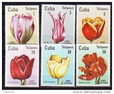 Cuba 2346/51 ** Flora. 1982 - Unused Stamps