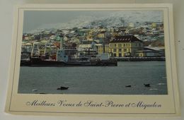 SAINT PIERRE ET MIQUELON  PHOTO CARTE DE VOEUX - San Pedro Y Miquelón