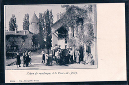 La Tour De Peilz, Scène De Vendange, Devant La Cave (2910) - La Tour-de-Peilz