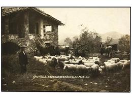 2687 TARJETAS POSTALES. <B>GIRONA. BAÑOLAS.</B> Marlan. (FOTO). - Otros & Sin Clasificación