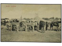 3196 ESPAÑA. SEVILLA. SEVILLA. MERCADOS. La Feria. Tratantes De Caballos (B/C). - Sonstige & Ohne Zuordnung