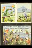 BIRDS - STAMPS SIGNED BY ARTIST  Nicaragua 2000 Birds Sheetlet And Pair Of Mini-sheets, SG MS3954 And MS3955, These Each - Ohne Zuordnung