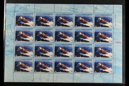 1996  Argentinian Presence In The Antarctic Set, SG 2507/2508, With Each As COMPLETE SHEETLETS Of 20, Never Hinged Mint. - Sonstige & Ohne Zuordnung