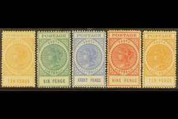 SOUTH AUSTRALIA  1902-11 Queen Victoria "Tall" Types With 1902-04 (thin "POSTAGE") 10d, SG 274, Plus 1904-11 (thick "POS - Other & Unclassified