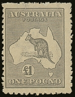 1923-24  £1 Grey Kangaroo, SG 75, Very Lightly Hinged Mint (near NH), Centered To Left, Fresh Colour. For More Images, P - Altri & Non Classificati