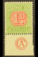 POSTAGE DUES  1909 1d Rosine And Yellow Green, SG D64, Superb Mint With Bottom Margin Showing "CA" Monogram. For More Im - Autres & Non Classés