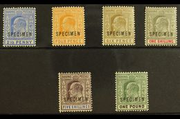 1902  Ed VII Set Complete (less 1d) Overprinted "Specimen", SG 63s/70s, Very Fine And Fresh Mint. (6 Stamps) For More Im - Otros & Sin Clasificación