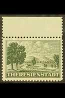 THERESIENSTADT  1943 (-) Blackish Grey-green Jewish Ghetto Parcel Admission Local Stamp, Michel 1, Never Hinged Mint Upp - Other & Unclassified