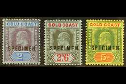 1907-13 SPECIMENS.  3s, 2s6d & 5s Top Values With "SPECIMEN" Overprints, SG 66s/68s, Very Fine Mint. (3 Stamps) For More - Côte D'Or (...-1957)