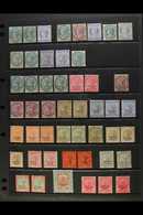 NABHA  1885-1912 MINT COLLECTION Presented On Stock Pages With Many Useful Shade Variants. Includes 1885 ½a & 2a, Plus ( - Autres & Non Classés