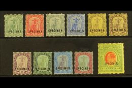 1908-14  Complete Set With "SPECIMEN" Overprints Inc Both 3d, SG 35s/47s & 40as, Fine Mint, 5s With One Shortish Perf At - Montserrat