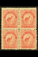 1899-1903  6d Pale Rose Kiwi, SG 265, Mint BLOCK OF FOUR, Gum Disturbed On Right Vertical Pair, The Lower Left Stamp Nev - Autres & Non Classés