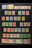 1907-1951 MINT COLLECTION  Presented On A Pair Of Stock Pages. Includes 1907 ½d, 2d & 2½d, 1908-11 Range To 6d, KGV Defi - Isole Salomone (...-1978)
