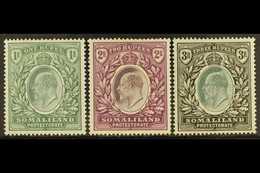 1904  1r, 2r, And 3r, SG 41/43, Fine Mint. (3 Stamps) For More Images, Please Visit Http://www.sandafayre.com/itemdetail - Somaliland (Protectorate ...-1959)