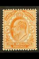 CAPE OF GOOD HOPE  1902-04 5s Brown-orange, SG 78, Fine Mint. For More Images, Please Visit Http://www.sandafayre.com/it - Unclassified