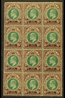 NATAL  1902-03 6d Green & Brown Purple, SG 135, BLOCK Of 12 (3 X4), Never Hinged Mint (12 Stamps) For More Images, Pleas - Non Classés