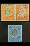 ORANGE RIVER COLONY  REVENUES 1903 KEVII 10s Orange & Green, £2 Brown & Violet, Wmk Crown CC, 1905 3s Purple & Blue On B - Non Classés