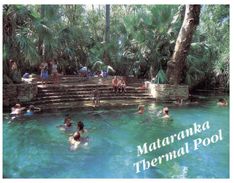 (111) Australia - (with Stamp At Back Of Postcard) - NT - Mataranka Pool - Darwin