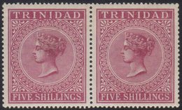 1883-94  5s Maroon, Wmk Crown CC, Perf.14, In A Pair, SG 113, Very Fine Mint. For More Images, Please Visit Http://www.s - Trinidad Y Tobago