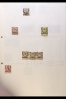 1863-1984 EXTENSIVE MINT & USED COLLECTION  Presented Chronologically In A Pair Of A4 Notebooks. A True Collectors Colle - Other & Unclassified