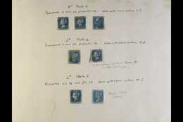 1841-1855 TWOPENNY BLUE MATCHING PLATE PAIRINGS  Used Collection On Old Album Page. With 1841 Plate 4 Imperf (two Shades - Other & Unclassified