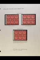 1952-1960 2½d CARMINE-RED BOOKLET PANES.  SPECIALIZED NEVER HINGED MINT COLLECTION Of All Different Complete Booklet Pan - Other & Unclassified