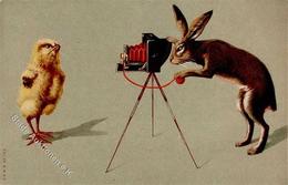Fotoapparat Hase Personifiziert Küken  Lithographie I-II (keine Ak-Einteilung) Caméra - Other & Unclassified