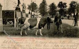 Landwirtschaft Dresden (o-8010) 12. Wanderausstellung 1898 Meissner Kuh Ansichtskarte I-II (fleckig) Paysans - Ausstellungen