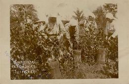 Weinbauern In Rumänien Fotokarte I-II - Tentoonstellingen