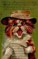 Katze Personifiziert Künstler-Karte 1903 I-II Chat - Cats