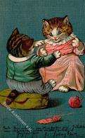 Katze Personifiziert Künstlerkarte 1906 I-II Chat - Gatti