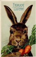 Hase Ostern  Prägedruck 1911 I-II Paques - Andere & Zonder Classificatie