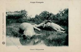 Jagd Safari Congo Francais Nilpferd I-II Chasse - Hunting