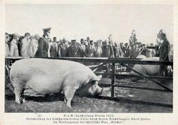Propaganda WK II WK II Hitler Landwirtschaft Ausstellung Schweine I-II Paysans Expo Cochon - Oorlog 1939-45