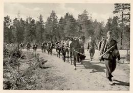 SS Kampf Der Gebirgsdivision Nord I-II - Oorlog 1939-45