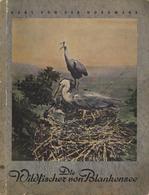 Sammelbild-Album Die Wildfischer Von Blankensee Gebr. Friedrich Söhne Margarinefabrik 1952 Komplett II - Guerra 1939-45