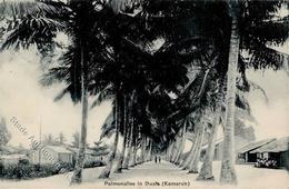 Kolonien Kamerun Palmenallee Duala I-II Colonies - Unclassified