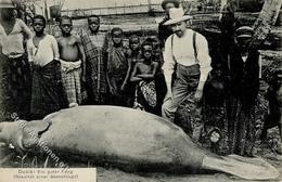 Kolonien Kamerun Duala Seekuhjagd I-II Colonies - Zonder Classificatie
