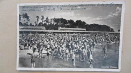 AK Vom Strandbad Wannsee  Beschrieben Am 7.1.45 - Echt Foto - Wannsee