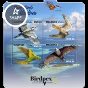 Maldives 2017, Animals, Birds, Parrot, Kingfisher, Eagle, Falcon, 4val In BF - Albatros