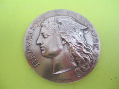 Médaille De Table/RF/Ministére De L'Agriculture/Concours Régional Hippique/CHARTRES/H PONSCARME/Bronze/1896     SPO217 - Equitation