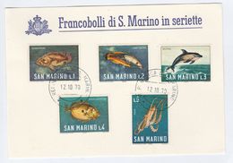 1970 SAN MARINO  COVER Special Card  DOLPHIN SQUID FISH Stamps - Dauphins