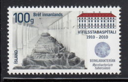 Iceland 2010 MNH Scott #1209 Vifilsstadir TB Sanatorium 100th Anniversary - Nuevos