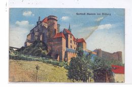 5520 BITBURG - HAMM, Schloss Hamm, Leicht Fleckig - Bitburg