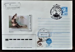 URSS, RUSSIE,  WWF, RONGEUR, Entier Postal Avec Obliteration Thematique 1991 - Brieven En Documenten