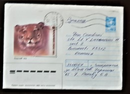 URSS, RUSSIE,  WWF, TIGRE, Entier Postal Emis En 1988 Ayant Circulé - Lettres & Documents