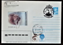 URSS, RUSSIE,  WWF, Morse, Entier Postal Avec Obliteration Thematique 1991 - Briefe U. Dokumente